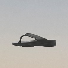 다이나핏쪼리