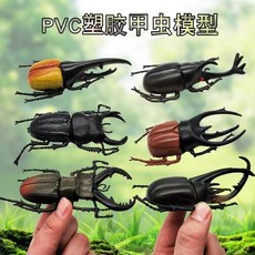 사슴벌레피규어