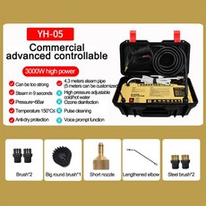 110V 220V 가정용 전기 스팀 청소기 3000W 고온 및 압력 에어컨 범위 후드 자동차 청소, 04 AU_01 220V