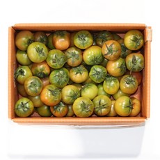 산지에서바로 아삭한 대저토마토 짭짤이 정품인증, 2.5kg (2S-3S 로얄과), 1개
