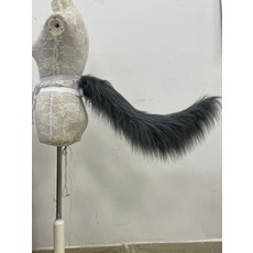 큰꼬리친구들