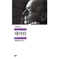 데미안민음사