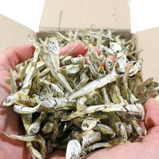 국물멸치오사리