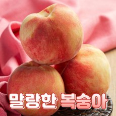 복숭아 TOP01