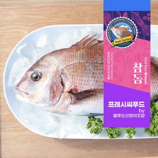 [통영 생물 참돔 1미 1kg 전후] 손질 도미 생선 구이 찜 프레시씨푸드 손질후 700-750g, 1마리, 40cm 내외