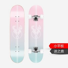 롱보드 스케이트보드 여학생 초보자 고풍 대학생 스트릿 여자아이 프로페셔널