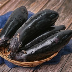 빛고을장터 국내산 통통한 가지 1.5kg 2kg내외, 1box, 01_가지 1.5kg내외