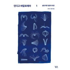 [궁리] 인디고 바칼로레아 1, 없음