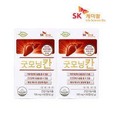 SK케미칼 굿모닝칸 X 2박스 HK표고버섯 균사체 홍경천 추출성분 베타글루칸 간건강 스트레스로 인한 피로개선에 도움, 60정 X 2박스 (4개월)