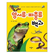 양서류파충류백과