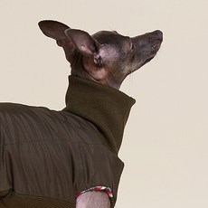 퍼피갤러리 런던 패딩 탑 이탈리안 그레이하운드 패딩/코트/아우터, 카키