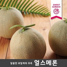 얼스멜론