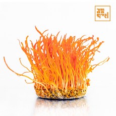감성먹거리 성재모동충하초 생초 80g 4통, 4개