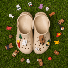 DINOTAENG Clog Buttonz Set
