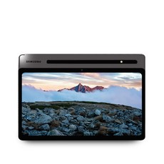 삼성전자 갤럭시탭 S8 플러스 SM-X806 5G 256GB, SM-X806NZAFKOO 256G 그래파이트, SM-X806 256G 5G