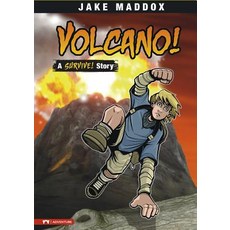 Volcano!: A Survive! Story Hardcover, Stone Arch Books