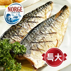 부산영어개인레슨