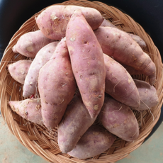 [대농회농장] 2020년 해남 황토 꿀고구마 3kg, 1box, 10kg특상(120g~300g)