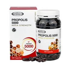마더네스트 프로폴리스 5000mg 250정 1개+사은품 프로폴리스 치약+무료배송