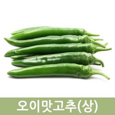 두리반농산 오이맛고추(상) 5kg 10kg - 아삭아삭 고추 크고 구불어짐 오이고추