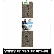 신생아울때