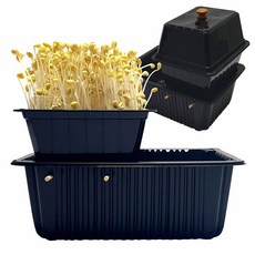 어린이학습용콩나물키우기