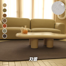 플렉스몬스터 사계절 생활방수 단모 원형 러그