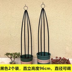 //상품명