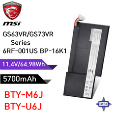 MSI BTY-M6J