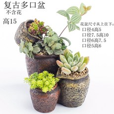 4625a18e8c0e749c0e5b15320cf46bb171203040e77cf26dee4c7fe57918.jpg
