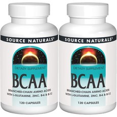 1+1 소스내추럴스 Source Naturals 아사이 추출물 500mg 캡슐 120정, 2개