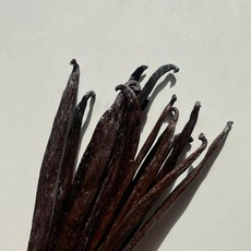 구디바닐라 바닐라빈 고메 A등급 타히티종, 1개입, 1개, 10g - 이미지 6