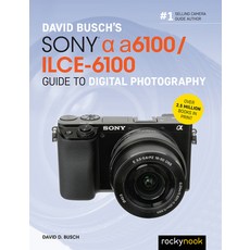 David Busch's Sony Alpha A6100/Ilce-6100 Guide to Digital Photography Paperback, Rocky Nook, English, 9781681985947