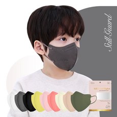 스틸가드 하이얼 KF94 새부리형 컬러 마스크 중형 50매, 5개입, 5개, 그레이 x 50매