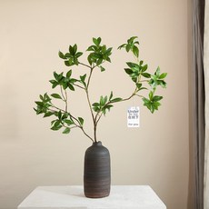 kh43