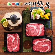 대관령한우 1++등급 눈꽃등심세트 (400gx3팩), 3개