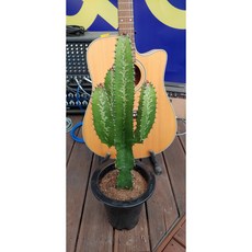 청하각