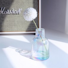 아베라 홀로그램 오로라 오팔 유리 화병 인테리어 미니꽃병, C.종모양형