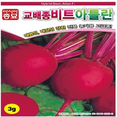 아틀란