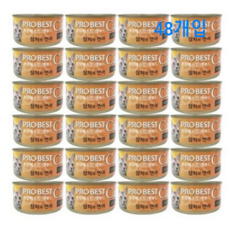 프로베스트 캣푸드 고양이 간식캔, 참치 + 연어 혼합맛, 80g, 48개
