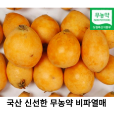 국내산 무농약 비파열매 2kg 3kg 5kg 국산 생과 비파 친환경 완도비파 햇비파 비파생과 효소용 대용량, 1개
