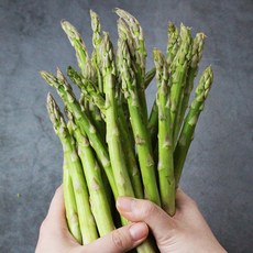 [햇님농장] 생 아스파라거스 1kg, 1세트