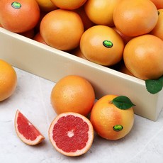장보남 레드 자몽 5kg 12-20과 내외, 1박스, 5kg(12-20과)