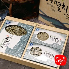이루다멸치