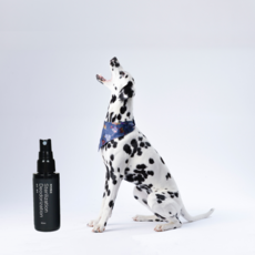 퓨리앤코해충퇴치기