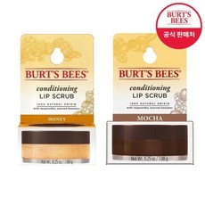 버츠비립스크럽 TOP01