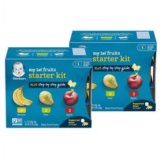 Gerber 거버 1단계 퍼스트 프루츠 베이비 푸드스타터 키트 My 1st Fruits Baby Food Starter Kit tubs 56g 6개입 2팩