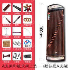 가야금전문가용