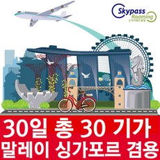 싱가포르 유심 말레이시아 유심 30일 30GB 데이터 핫스팟 지원 인스타 카카오톡 유튜브 네이버 사용 스카이패스로밍