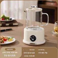 이리야 무선 전기주전자 보온 분유 커피포트 차탕기, 스마트 850ML 유리